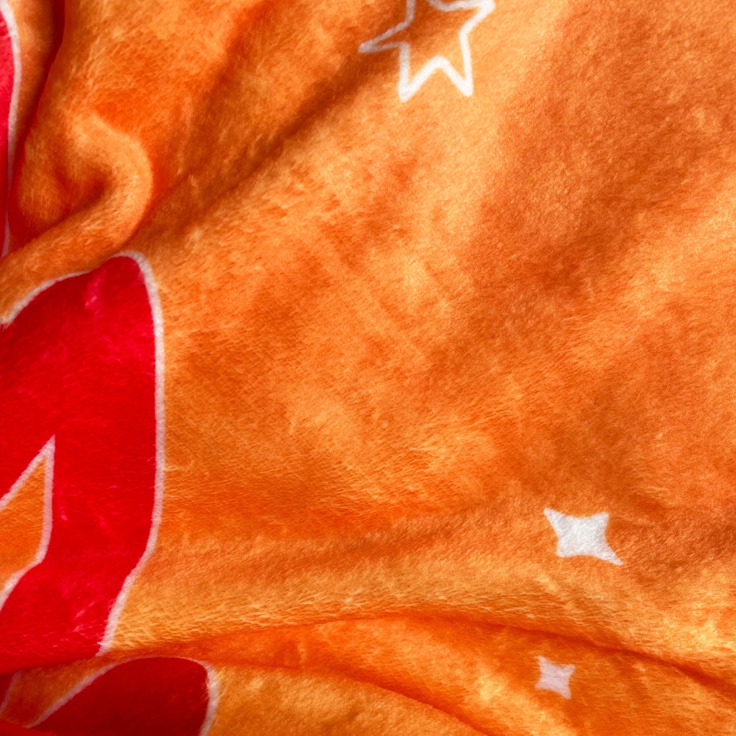 Dream Blanket - Lion